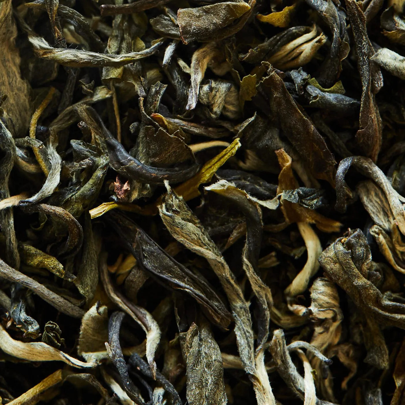 Tè verde GREEN MONKEY - 50 g