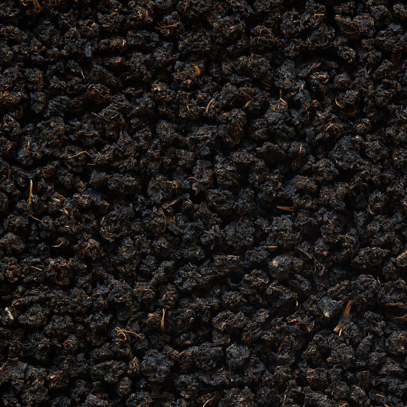 Tè nero Assam spezzato “Typhoo” Bukhial BOP - 50 g