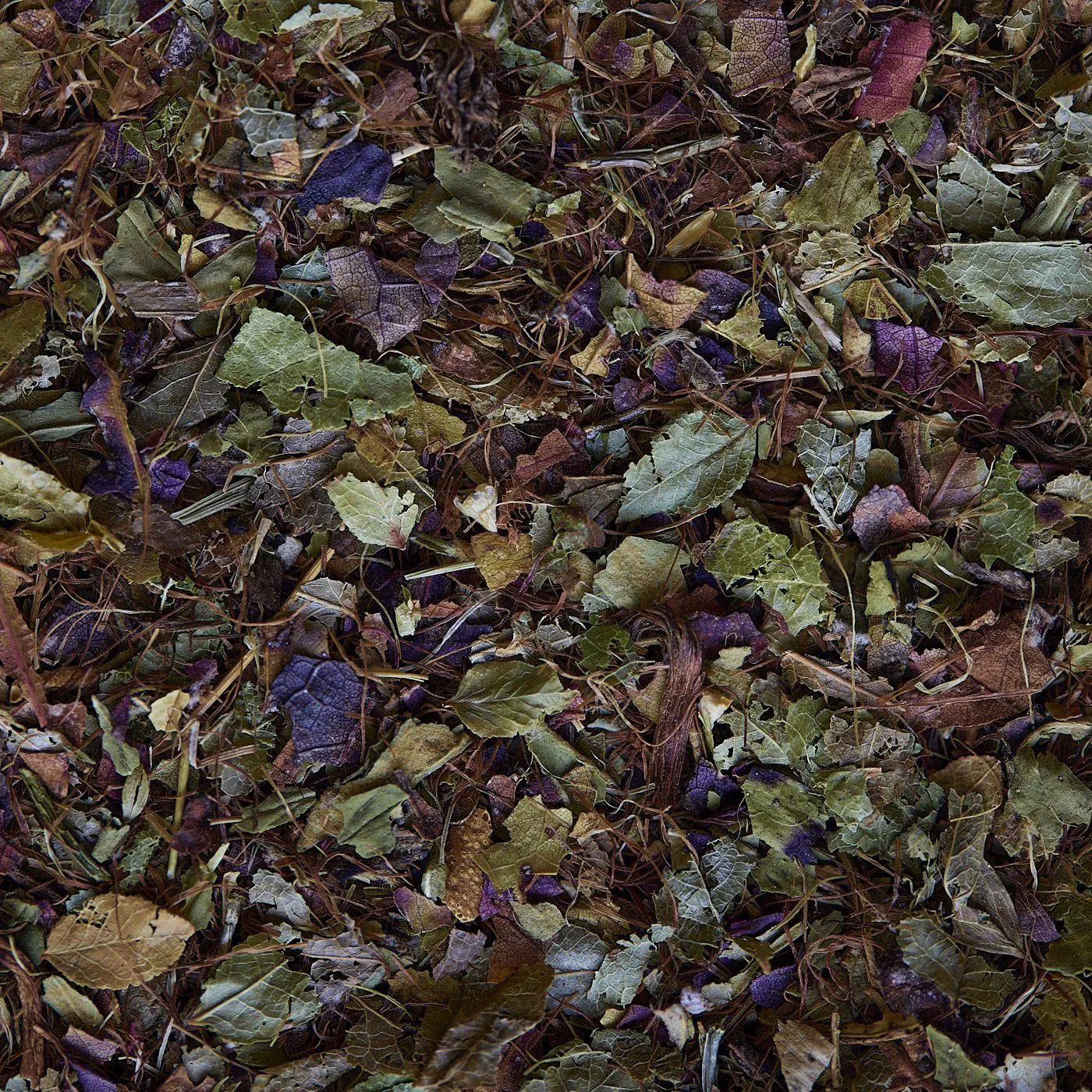 Tisana drenante ONLINE - 50 g