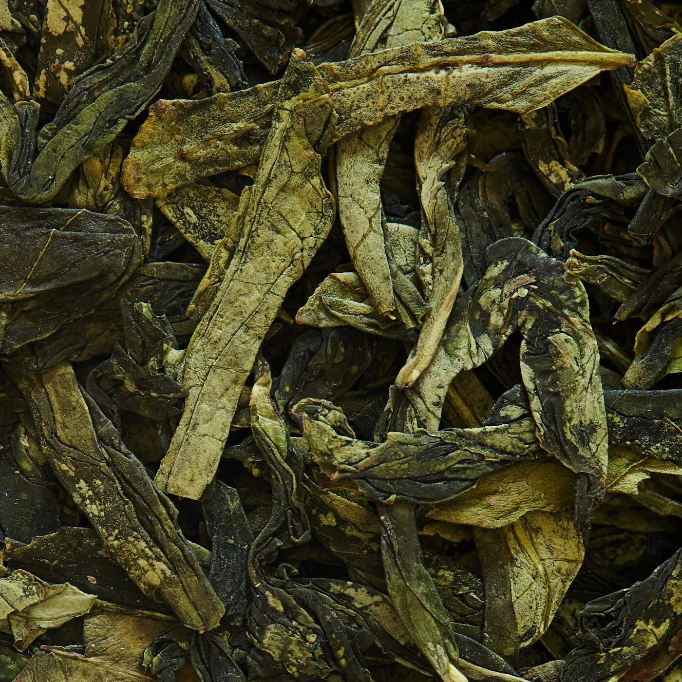 Tè verde LONG JING (LUNG CHING) 1° grado APRILE 2024 - 50 g